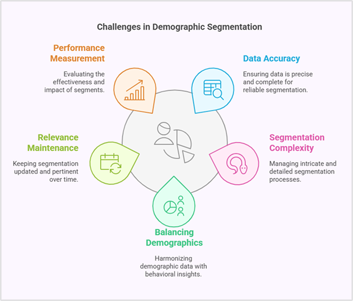 Challenges in demographic segmentation