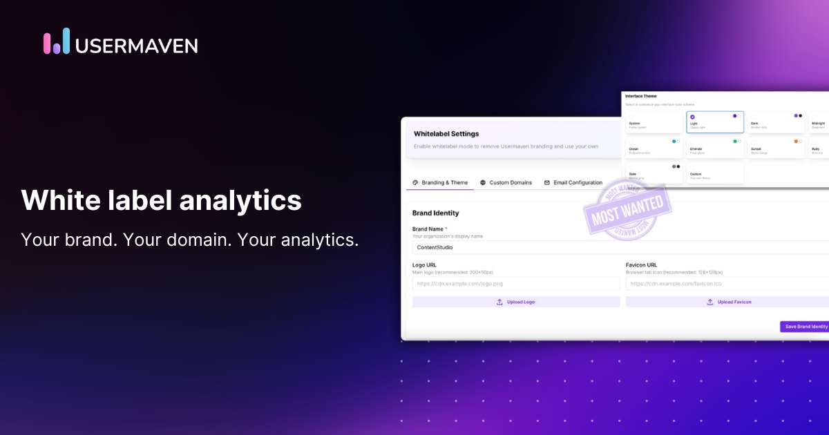 White label analytics for modern agencies, teams, and SaaS companies