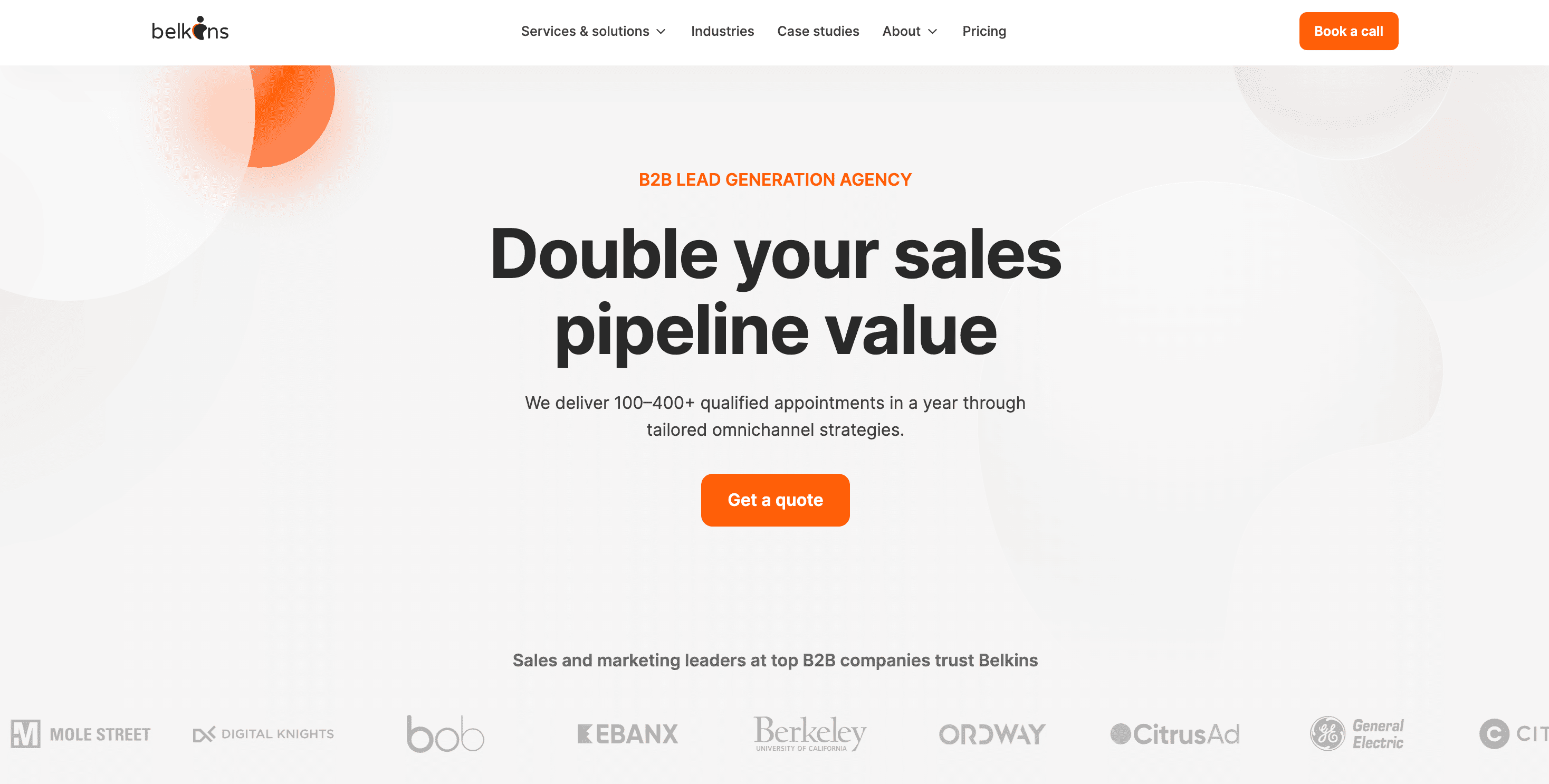 Belkins homepage banner showcasing B2B lead generation agency with headline “Double your sales pipeline value” and call‑to‑action button.