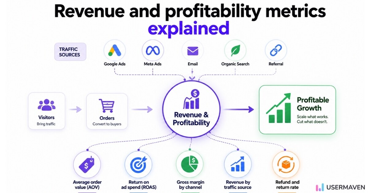 Infographic explaining revenue and profitability metrics showing traffic sources, orders, and growth drivers for e‑commerce.